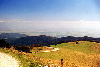 Elsass